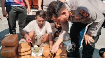 Sat Intelkam Polres Aceh Tenggara Gagalkan Peredaran 50,7 Kg Ganja, Amankan Dua Pelaku